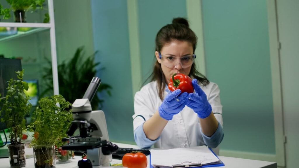 HACCP Audit